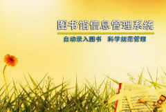 國內圖書館管理系統(tǒng)選擇？